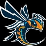 Cedarville University