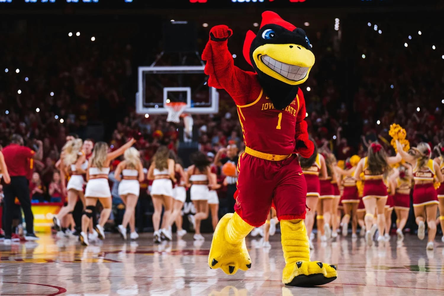Iowa State Cyclones mascot with cheerleaders on the basketball court