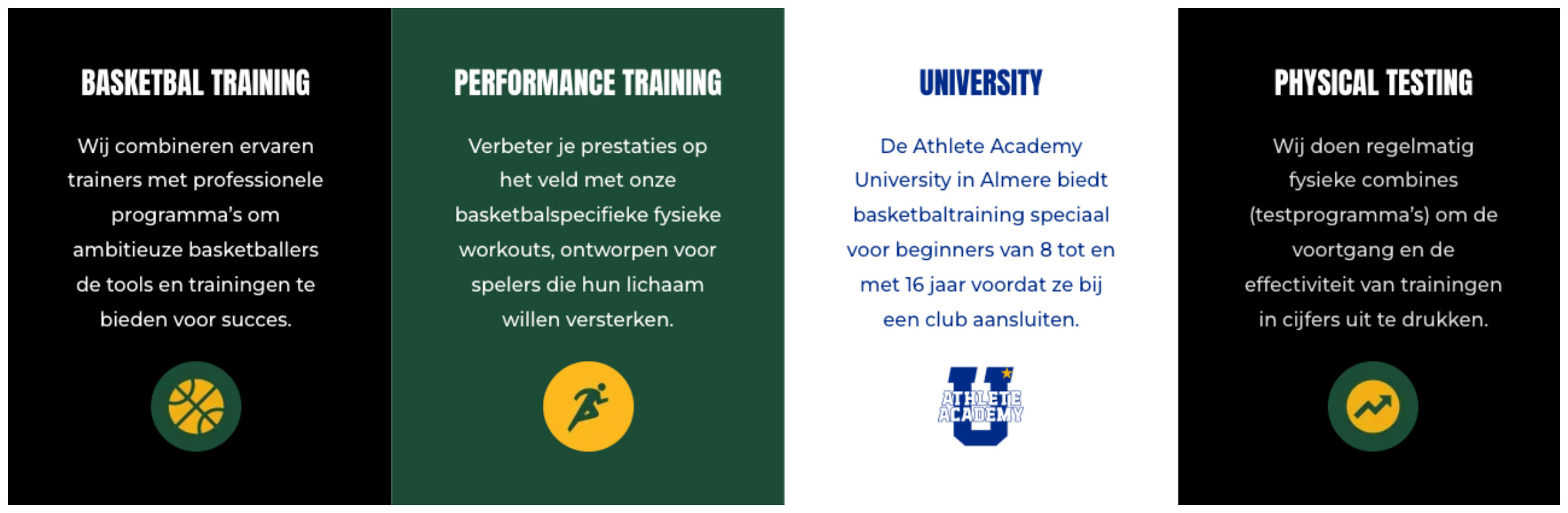 Overzicht van het programma: basketbaltraining, prestatieverbetering, physical testing en fysiotherapie