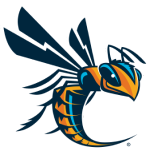 Cedarville University